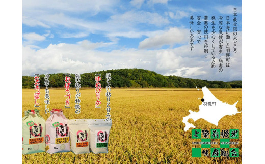 【令和5年産】北海道羽幌産　特別栽培米おぼろづき10kg（5kg×2セット）