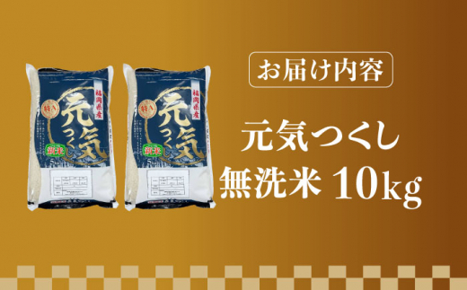 福岡県産ブランド米「元気つくし」無洗米 10kg (5kg×2袋)《築上町