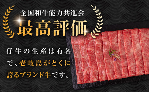 壱岐牛 ロース すき焼き・しゃぶしゃぶ用 550g《壱岐市》【中津留