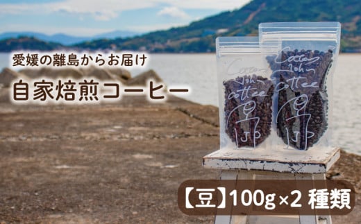 【豆】100g×2種類 おまかせ 自家焙煎コーヒー 選べる 自家焙煎 珈琲 コーヒー 愛媛県 松山市 1103065 - 愛媛県松山市