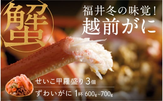 【選べる個数！産地直送】福井冬の味覚！越前がに（ずわいがに活 1杯）600～700g ＆ せいこ甲羅盛り3個   [E-00901] / せいこ セイコガニ ズワイガニ ズワイ蟹 ずわい蟹 剥き身 脚 爪 脚 かにしゃぶ カニ鍋 蟹 お歳暮 253419 - 福井県鯖江市