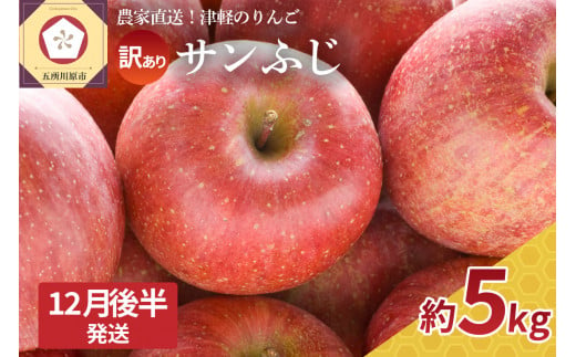 りんご 訳あり 5kg 青森 【2024年12月後半発送】 サンふじ 1070453 - 青森県五所川原市