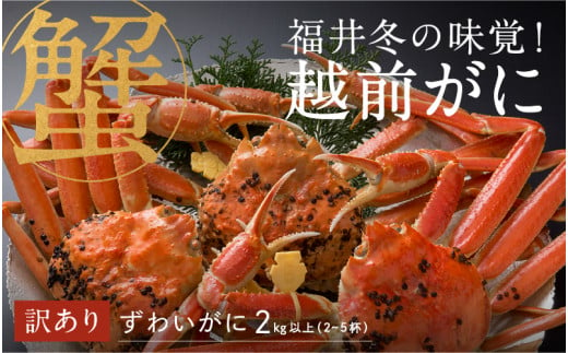 【選べる容量！産地直送】福井の冬の王様！【訳あり】越前がに 合計2kg以上（2～5杯）3～5人前 [M-00906] / ズワイガニ ズワイ蟹 ずわい蟹 ずわい 剥き身 脚 爪 脚 かにしゃぶ カニ鍋 蟹 お歳暮 カニ かに 558114 - 福井県鯖江市