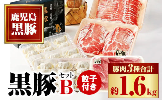 B02079 ふるさと黒豚セットＢ！黒豚餃子(12個入×3P)付き【和田養豚】