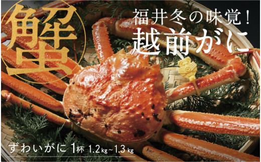 【先行予約！9月30日までの特別価格！！】【選べる個数！産地直送】福井の冬の王様！越前がに 1.2～1.3kg　[M-00905] / ズワイガニ ズワイ蟹 ずわい蟹 ずわい 剥き身 脚 爪 脚 かにしゃぶ カニ鍋 蟹 お歳暮 カニ かに ふるさと納税かに