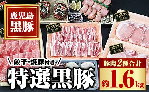 B02091 特選黒豚(計約1.6kg)  黒豚焼豚(約200g×2個) 黒豚餃子(12個入×1P)【和田養豚】