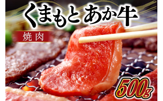 [出荷月指定あり]熊本県産GI認証取得 くまもとあか牛(焼肉用500g)