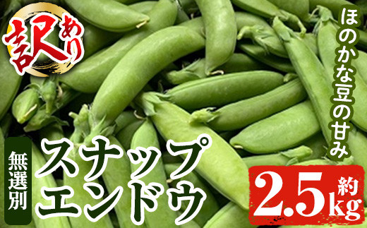 先行予約受付中！2024年5月より順次発送＞鹿児島県産 えびすかぼちゃ