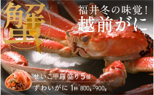 【選べる個数！産地直送】先行予約！福井冬の味覚！越前がに（ずわいがに活 1杯）800～900g ＆ せいこ甲羅盛り5個　2024年11月15日以降発送 [J-00908] / せいこ セイコガニ ズワイガニ ズワイ蟹 ずわい蟹 剥き身 脚 爪 脚 かにしゃぶ カニ鍋 蟹 お歳暮 547926 - 福井県鯖江市