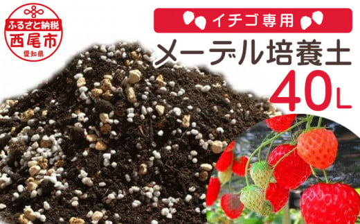 イチゴ専用メーデル培養土40Ｌ（20L×2袋）A015-14 737531 - 愛知県西尾市