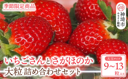 佐賀県神埼市のふるさと納税 お礼の品ランキング【ふるさとチョイス】