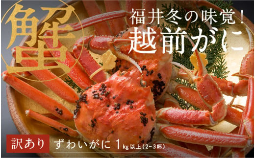 【選べる容量！産地直送】福井の冬の王様！【訳あり】越前がに 合計1kg以上（2～3杯）2～3人前  [H-00917] / ズワイガニ ズワイ蟹 ずわい蟹 ずわい 剥き身 脚 爪 脚 かにしゃぶ カニ鍋 蟹 お歳暮 カニ かに 558113 - 福井県鯖江市