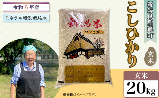食品新潟県産コシヒカリ特別栽培米 ２０キロ（従来コシヒカリ） - 米