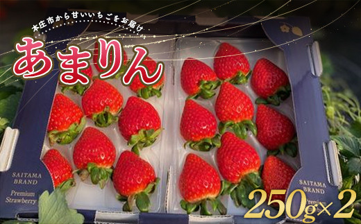 ＜埼玉県 本庄市 産＞ 久米原農園 あまりん（250g × 2パック）ご当地 新品種 あまりん いちご イチゴ 苺 ストロベリー 果物 くだもの  フルーツ デザート 食品 関東 F5K-033|久米原農園