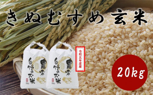 食品/飲料/酒元年9月26日収穫　無農薬島根県産きぬむすめ100% 20kg 玄米