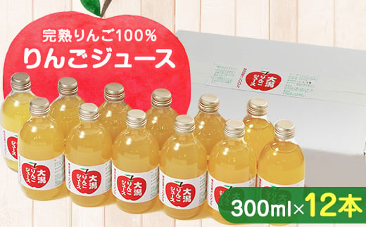 大潟村 山本りんご園のりんごジュース300ml×12本セット【1119600】