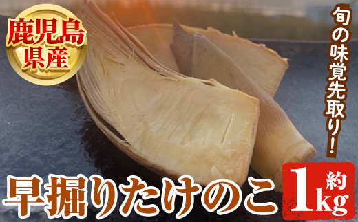 鹿児島県産 早掘りたけのこ(約1kg) 国産 野菜 たけのこ タケノコ 筍 旬 煮物 水煮 天ぷら つくだ煮 期間限定 【松永青果】7-17 -  鹿児島県阿久根市｜ふるさとチョイス - ふるさと納税サイト