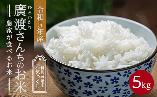 【令和5年産】【新米】農家が食べるお米「廣渡さんちのお米」5kg 精米