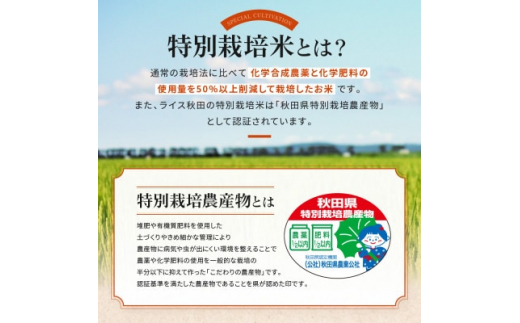 令和5年産＞大潟村産あきたこまち特別栽培米5.5kg (玄米)【1353948