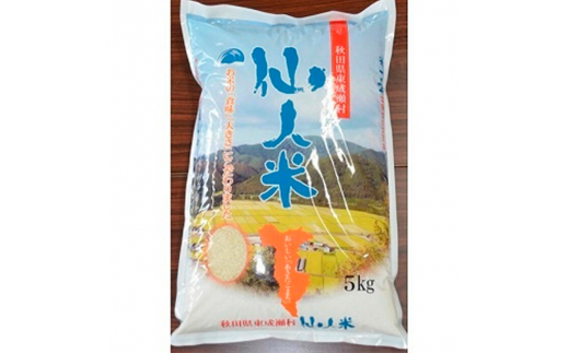 令和5年産 あきたこまち「仙人米」白米 5kg 自然乾燥米 はさがけ 秋田