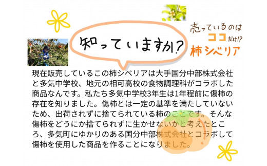 GF-13 キズ柿をつかった柿シベリア 5個入り - 三重県多気町｜ふるさと
