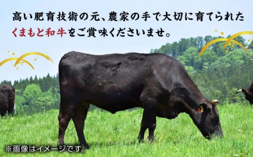 【3回定期便】くまもと黒毛和牛 牛ローススライス 牛すき・しゃぶしゃぶ用 500g（250g×2pc）【馬刺しの郷 民守】 スライス すき焼き  しゃぶしゃぶ 小分け [ZBL060]