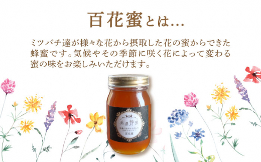 美濃蜂蜜 百花蜜 600g ディスペンサー 付き ギフトセット 【マンモス