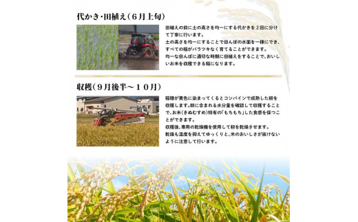 HD14　令和5年度産 【定期便】3回連続 岡山県倉敷市産 きぬむすめ 白米 計30kg 10kgｘ3回|三貴ファーム