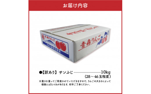 青森県五所川原市のふるさと納税 【2024年11月後半発送】 【訳あり】 りんご 約10kg サンふじ 青森産