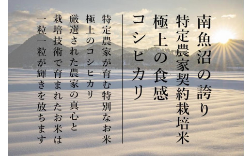 OZAWA】精米10ｋｇ 内閣総理大臣賞受賞農家がつくる幻の米 特A地区