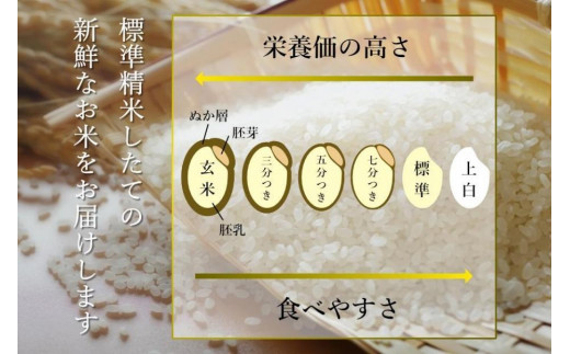 OZAWA：定期便/5ｋｇ×全12回】内閣総理大臣賞受賞農家がつくる幻の米