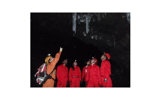 樹海洞窟体験ツアー体験
