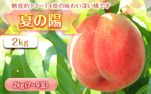 福島の桃 夏の陽 2kg （7～9玉） 先行予約 フルーツ 果物 伊達市産 もも モモ momo F20C-454 269789 - 福島県伊達市