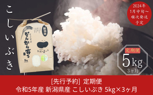 定期便3kg×3ヶ月] 先行予約 こしいぶき 新潟県産 令和5年産米 [2024年1