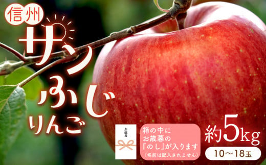 のし付き りんごの王様「サンふじ」 約5kg (10～18玉) 1135715 - 長野県千曲市