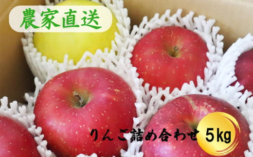 りんごミックス 家庭用 詰め合わせ（約5kg） 【798】 253012 - 岩手県花巻市