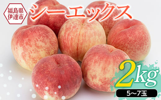 福島の桃 シーエックス2kg（5～7玉） 福島県産 桃 先行予約 フルーツ 果物 もも モモ momo F20C-151 261426 - 福島県伊達市