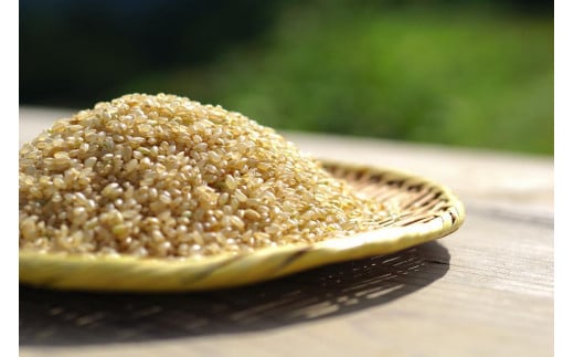玄米】R5年産 新米コシヒカリ5kg 一等米100% / 雪国棚田米 ~農薬・化学