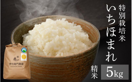 福井県初！》伊与衛門農園の特別栽培米いちほまれ 精米 5kg 農家