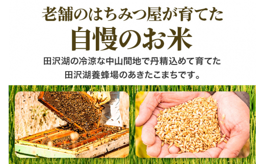 玄米】秋田県産 あきたこまち 10kg 新米 令和5年産 10キロ お米 仙北市