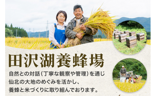 【玄米】秋田県産 あきたこまち 30kg 新米 令和5年産 30キロ お米 仙北市