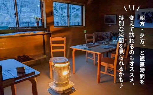 オシドリ観察小屋 年間パスポート おしどり観察小屋 鳥取県日野町 鴛鴦 おしどり オシドリ - 鳥取県日野町｜ふるさとチョイス - ふるさと納税サイト