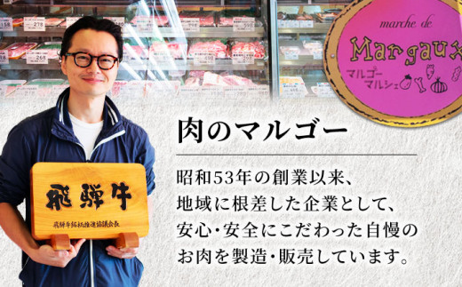 厳選！じゅわっと柔らかい＞飛騨牛 焼肉用 6種食べ比べセット【有限