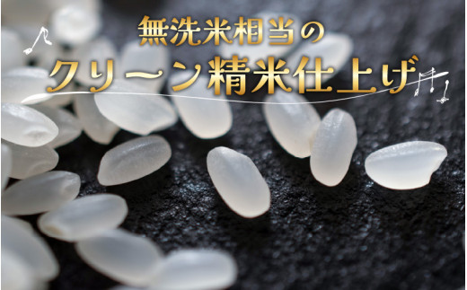 【令和5年産】ワルツ農場のコシヒカリ クリーン精米 5kg 特別栽培米【驚きの食味値95点！納得の美味しさ】減農薬 有機肥料使用 ／ お米 ご飯 白米  発送直前 精米 つや 艶 甘味 旨み 無洗米相当 あわら市産 福井県産 ブランド米