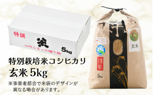 令和5年産】ワルツ農場のコシヒカリ 玄米 5kg 特別栽培米【驚きの食味