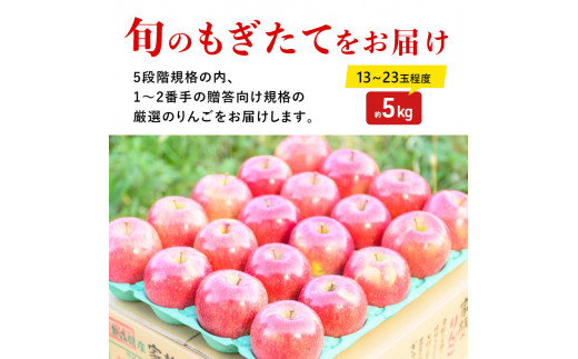 12月発送】（蜜入り・13度糖度保証）贈答用葉とらずサンふじ約5kg