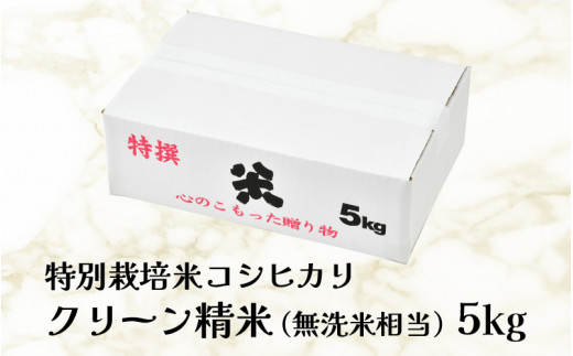 【令和5年産】ワルツ農場のコシヒカリ クリーン精米 5kg 特別栽培米【驚きの食味値95点！納得の美味しさ】減農薬 有機肥料使用 ／ お米 ご飯 白米  発送直前 精米 つや 艶 甘味 旨み 無洗米相当 あわら市産 福井県産 ブランド米