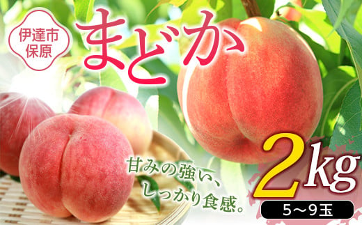 福島の桃 まどか 2kg（5～9玉）【あかい果樹園】 先行予約 フルーツ 果物 もも モモ momo F20C-504 287874 - 福島県伊達市