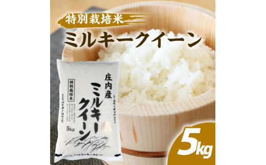 SZ0210 令和5年産【精米】特別栽培米 ミルキークイーン 5kg SA - 山形