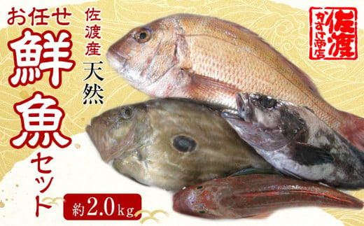 佐渡産 天然お任せ鮮魚セット 2kg 1061654 - 新潟県佐渡市